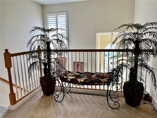 interior space with carpet floors