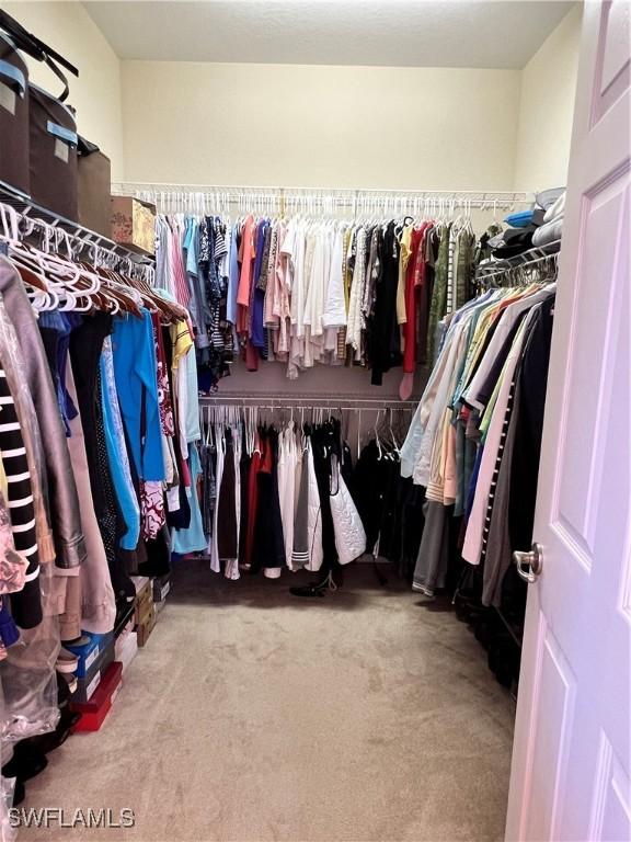 spacious closet with carpet