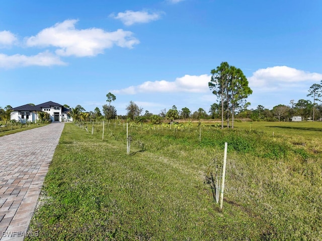 view of yard featuring a rural view