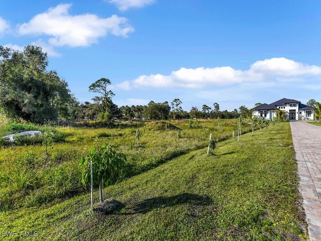 view of yard featuring a rural view