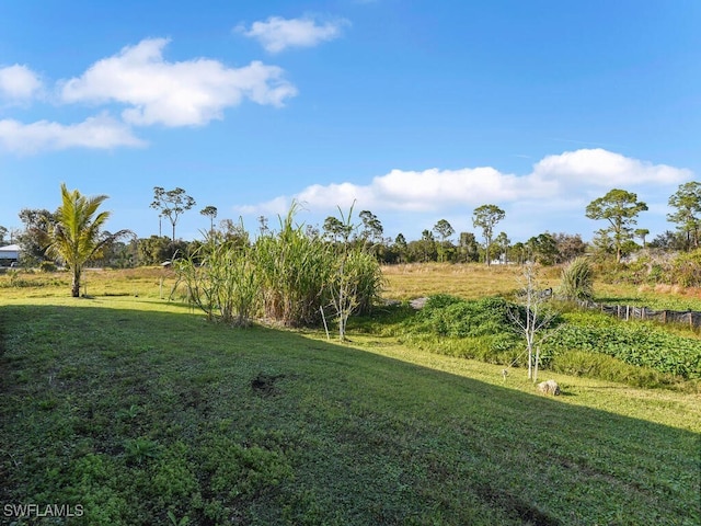 view of yard with a rural view