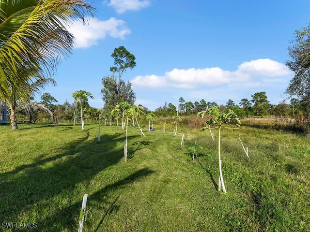 view of home's community featuring a rural view and a lawn