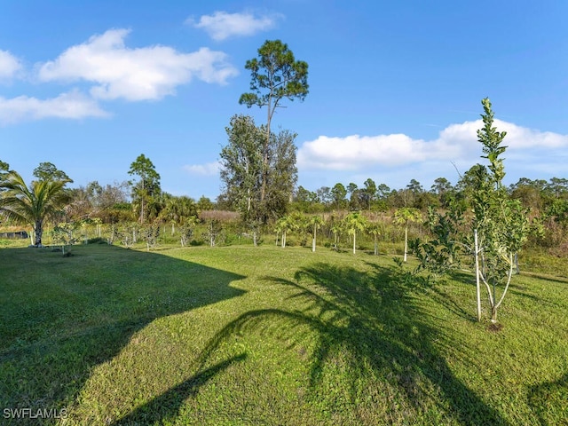 view of yard