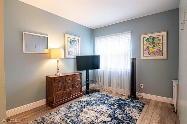 bedroom featuring wood-type flooring