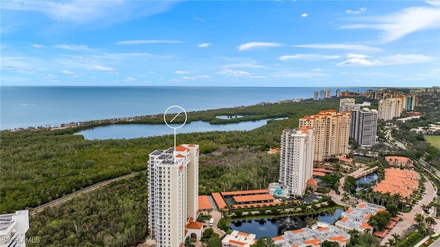 6573 Marissa Loop Unit 2004, Naples, FL 34108 - view of urban area featuring a nearby body of water and a heavily wooded area