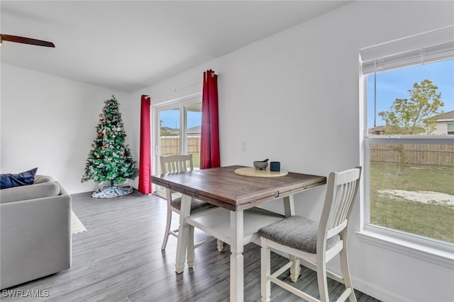 dining room featuring ceiling fan and light wood-type flooring