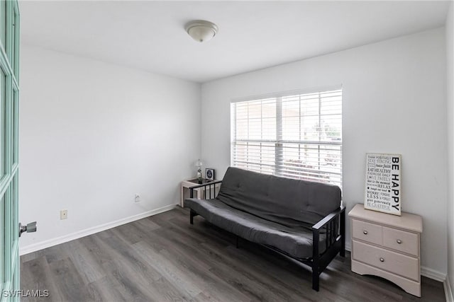 living area with dark hardwood / wood-style flooring