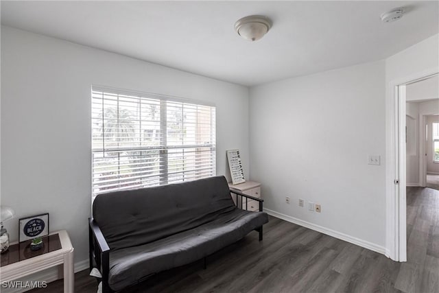 sitting room featuring dark hardwood / wood-style flooring