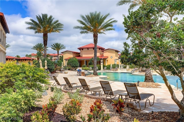 view of pool featuring a patio