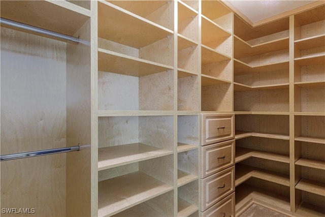 view of spacious closet