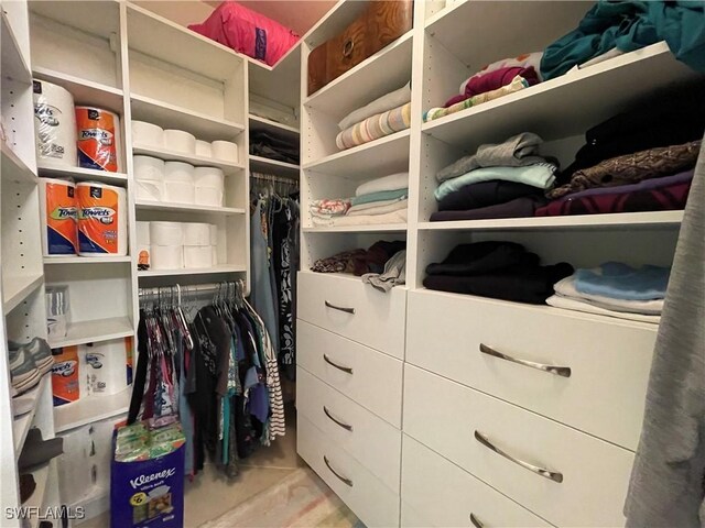 view of spacious closet