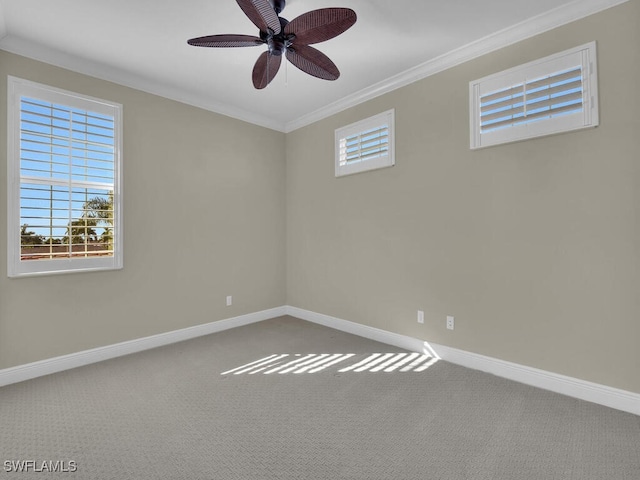 unfurnished room with crown molding, ceiling fan, and carpet floors