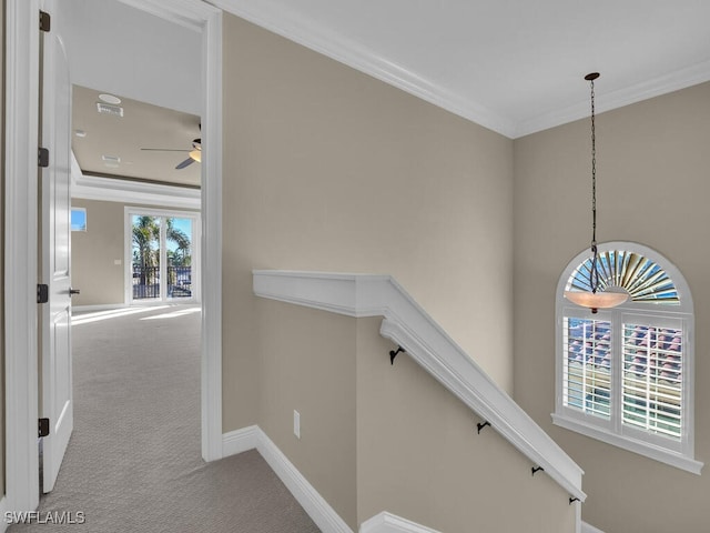 staircase with ceiling fan, ornamental molding, and carpet flooring