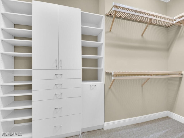 spacious closet featuring carpet flooring