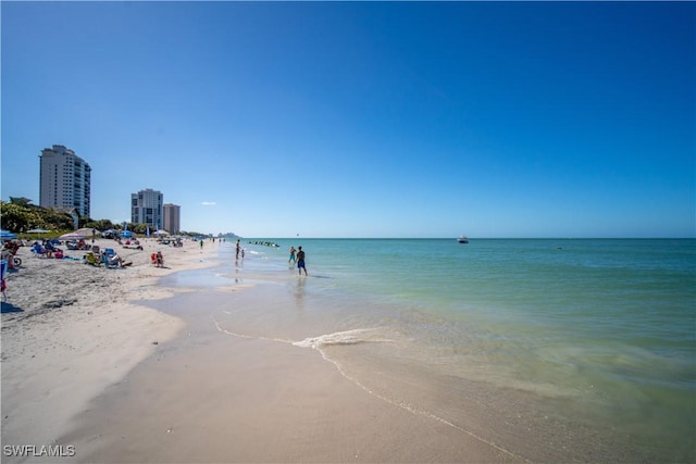 water view featuring a beach view