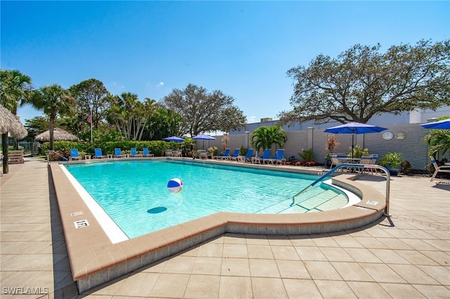 view of swimming pool with a patio