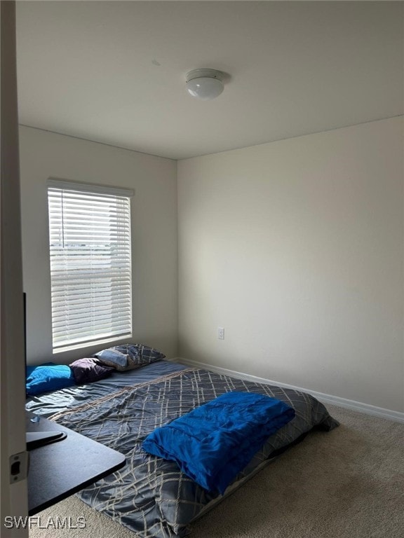 bedroom with carpet