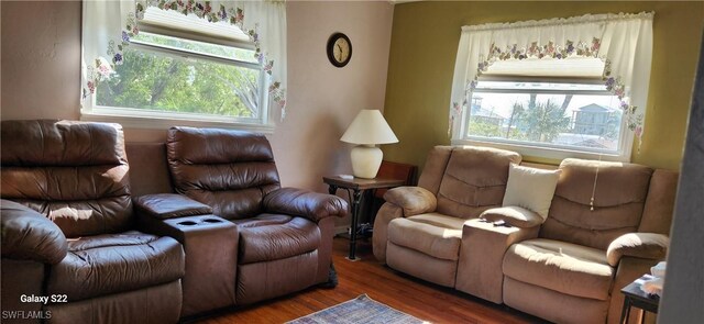 interior space featuring plenty of natural light and wood finished floors