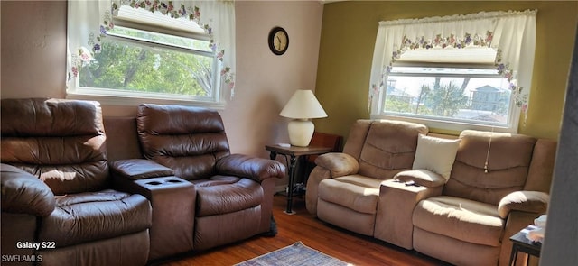living area featuring plenty of natural light and wood finished floors