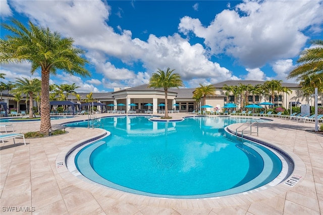 12390 Purple Ficus Way, Naples, FL 34120 - community pool featuring a patio