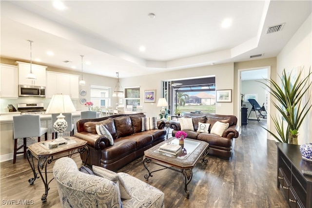 living room with dark hardwood / wood-style floors, a wealth of natural light, and a raised ceiling