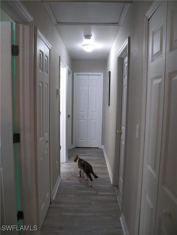 corridor featuring dark hardwood / wood-style flooring