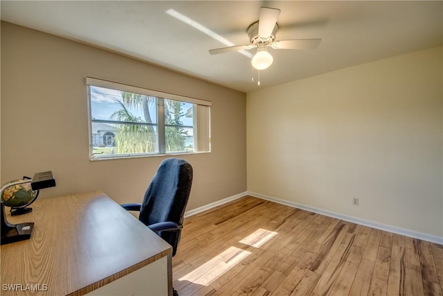 office featuring ceiling fan and light hardwood / wood-style flooring