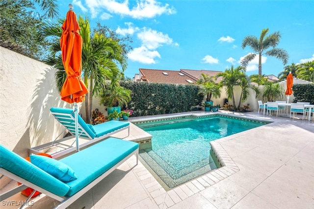 view of pool featuring a patio