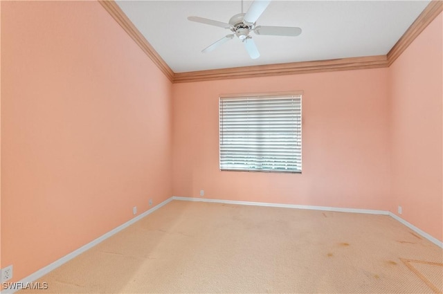 unfurnished room featuring ornamental molding, ceiling fan, and carpet