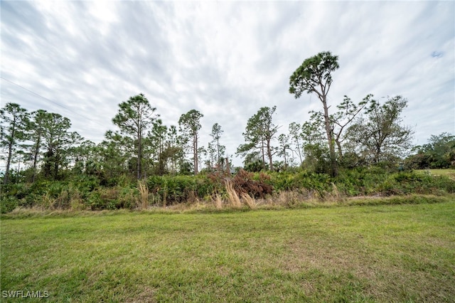 5435 Montego Ln, Port Charlotte, FL 33981 - view of green lawn