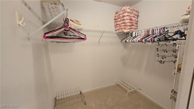 spacious closet with carpet