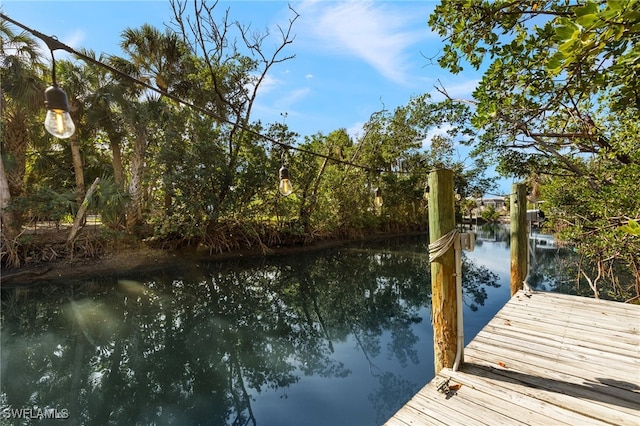 dock area with a water view