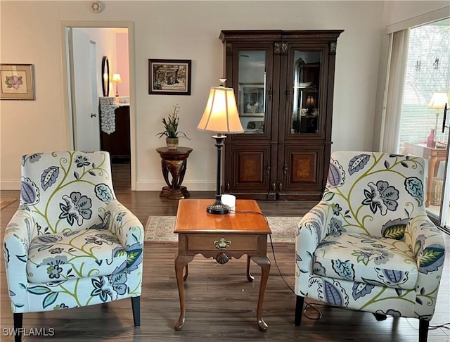 living area with dark wood-type flooring