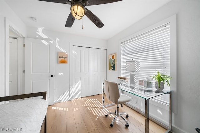 office area with ceiling fan and light hardwood / wood-style flooring