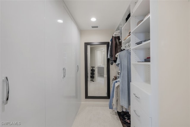 view of spacious closet