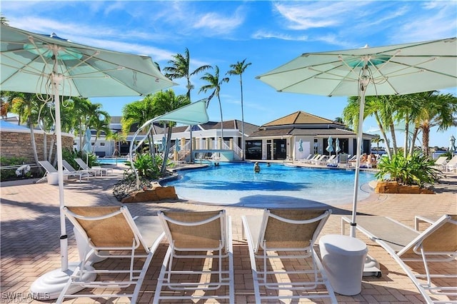 view of swimming pool featuring a patio