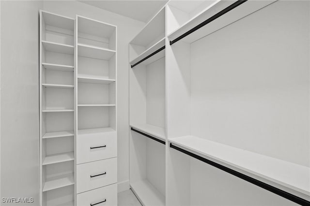 view of spacious closet