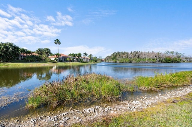 property view of water