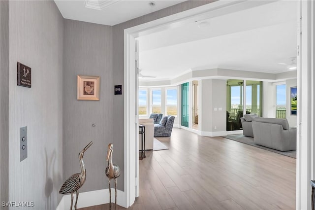 hallway featuring ornamental molding and light hardwood / wood-style floors