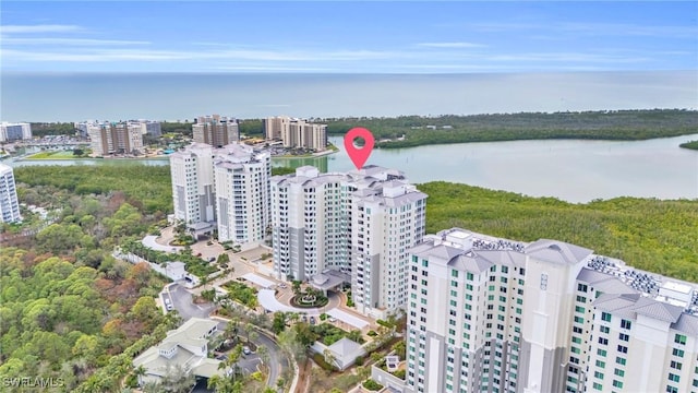 bird's eye view with a view of city, a water view, and a forest view