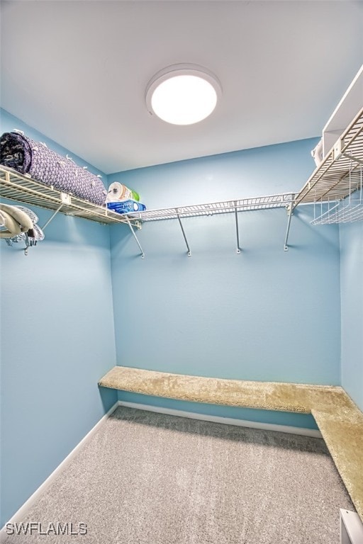 spacious closet with carpet flooring