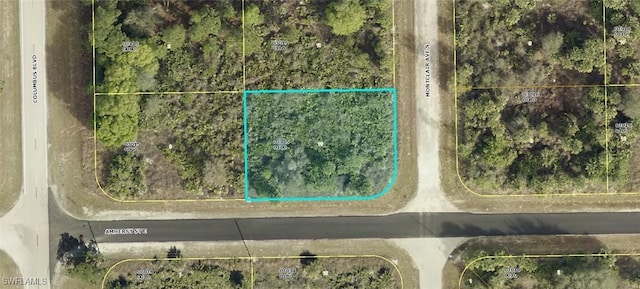 520 Montclair Ave S, Lehigh Acres FL, 33974 land for sale