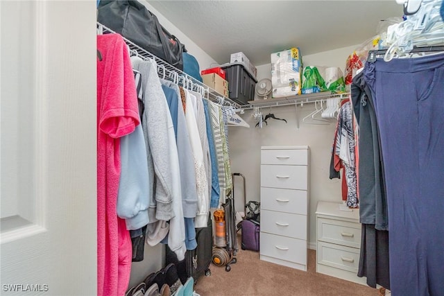 spacious closet with light colored carpet