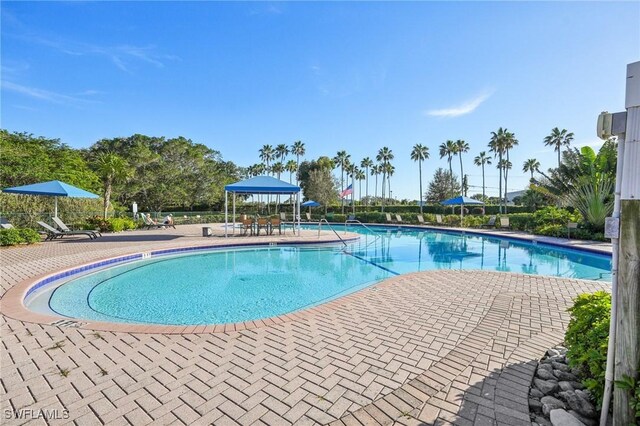 view of swimming pool featuring a patio