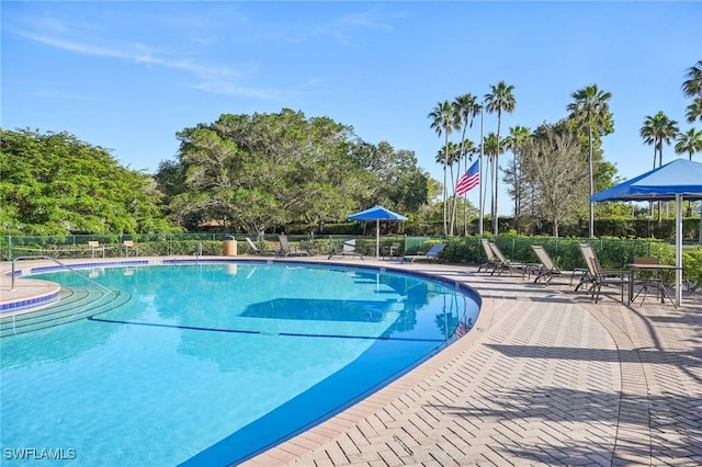 view of pool featuring a patio