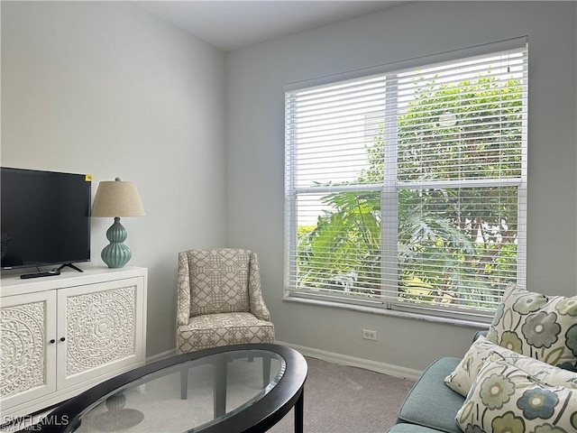 living area featuring carpet floors