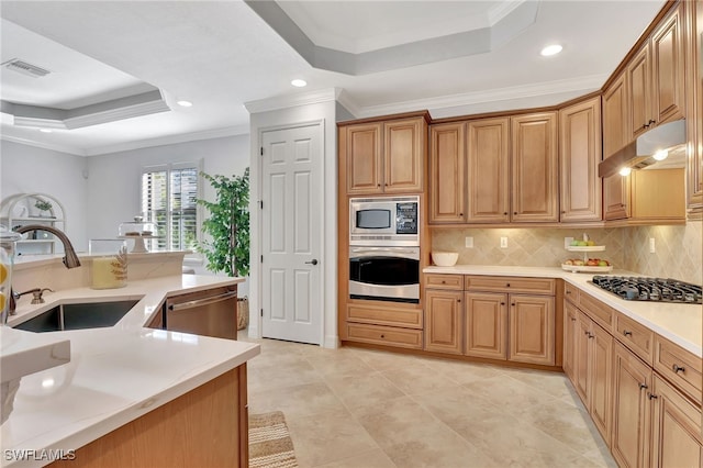 kitchen featuring sink, tasteful backsplash, crown molding, appliances with stainless steel finishes, and a tray ceiling