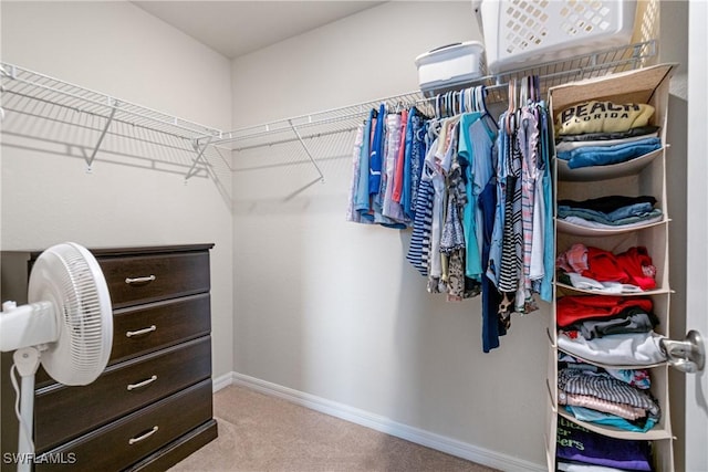 walk in closet with light colored carpet