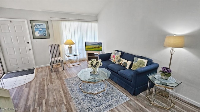 living room featuring wood-type flooring