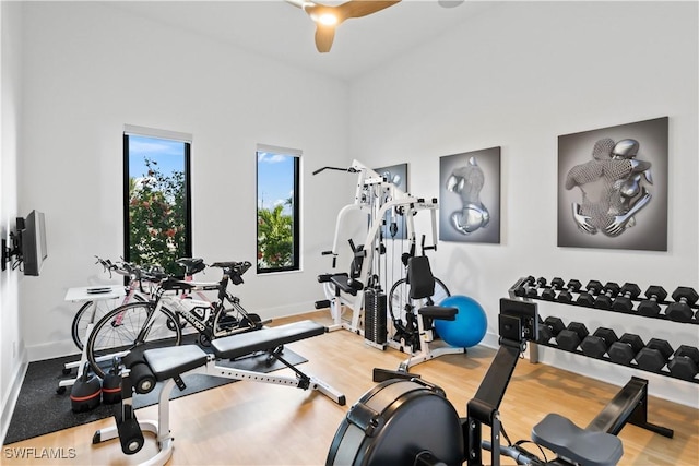 workout area featuring wood-type flooring